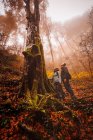 Люди в лісі з осінніми кольорами серед туману — стокове фото