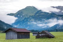 Мальовничий краєвид маленького чарівного будинку на галявині з соковитою зеленою травою поблизу вічнозеленого лісу й високими горами в Австрії. — стокове фото