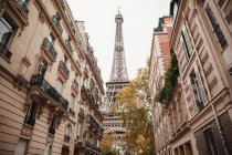 Вид на Ейфелеву вежу та старі будівлі Парижа з вулиці Франції восени. — стокове фото