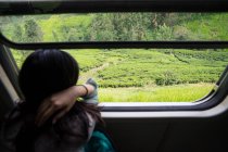 Отдыхающая женщина едет на поезде по зеленым растениям — стоковое фото
