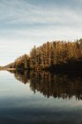 Lac et paysage forestier avec ciel bleu — Photo de stock