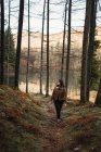 Femme marchant dans la forêt d'automne — Photo de stock