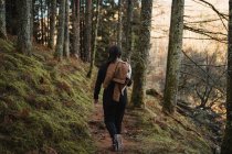 Donna che cammina nella foresta autunnale — Foto stock