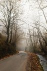 Route vide dans la forêt brumeuse d'automne — Photo de stock