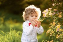Little cute boy sniffing flower in park — Stock Photo