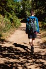 Rückansicht des Touristen mit Rucksack, der unterwegs ist und im Sommer auf der Landstraße durch den Wald läuft — Stockfoto