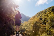 Rückansicht des Wanderers mit Rucksack, der im Sommer am Hang im Wald steht und das Sonnenlicht betrachtet — Stockfoto