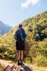 Back view of faceless hiker with backpack looking at sunlight while standing on hillside in forest in summer day — Stock Photo
