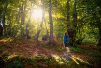 Vista trasera del excursionista con mochila mirando la luz del sol mientras está de pie en la ladera en el bosque en el día de verano - foto de stock