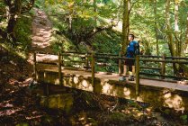 Сверху турист стоит на деревянном мосту и смотрит на природный ландшафт в лесу летом — стоковое фото