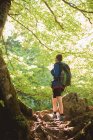 Visão traseira do caminhante com mochila olhando para a luz solar enquanto está em pé na encosta na floresta no dia de verão — Fotografia de Stock