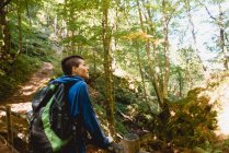 Dall'alto turista in piedi sul ponte di legno e guardando il paesaggio naturale nella foresta in estate — Foto stock