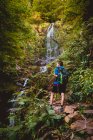 Вид на женщину, идущую с рюкзаком возле водопада в лесу в летний день — стоковое фото