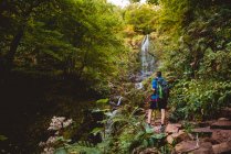 Back view of woman walking with backpack near waterfall in forest in summer day — Stock Photo