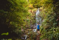 Back view of woman walking with backpack near waterfall in forest in summer day — Stock Photo