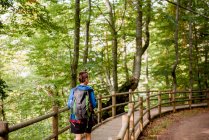 Von oben Rückansicht eines Touristen, der auf einer Holzbrücke steht und die Naturlandschaft im Wald betrachtet — Stockfoto