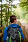 Dall'alto vista posteriore del turista in piedi sul ponte di legno e guardando il paesaggio naturale nella foresta — Foto stock