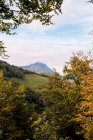 Чудовий вид на величний гірський пік і осінній барвистий ліс в похмурий день — стокове фото