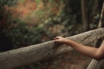Immagine ritagliata di donna che tocca recinzione di legno in un parco tranquillo — Foto stock