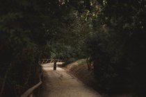 Jeune femme en robe décontractée avec les bras croisés se promenant dans la route explorer la nature du parc vert — Photo de stock
