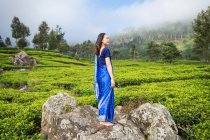Бічний вид задоволеної жінки азіатського походження в синьому сарі, що стоїть на скелі посеред чайних полів у Хапуталі (Шрі - Ланка). — стокове фото