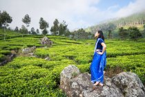 Vista laterale della giovane donna asiatica soddisfatta in sari blu in piedi sulla roccia nel mezzo di campi da tè in Haputale in Sri Lanka — Foto stock