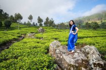 Vue latérale de la femme asiatique en sari bleu debout sur le rocher regardant la caméra au milieu des champs de thé à Haputale au Sri Lanka — Photo de stock