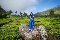 Vista laterale della donna asiatica in sari blu in piedi sulla roccia guardando la fotocamera nel mezzo di campi da tè in Haputale in Sri Lanka — Foto stock