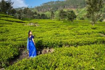 Веселая женщина в синей традиционной одежде смотрит в сторону, стоя на чайных лугах в Хапутале в Шри-Ланке — стоковое фото