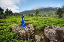 Сторона зору азіатки в синьому сарі, що стоїть на скелі і дивиться на камеру посеред чайних полів у Хапуталі (Шрі - Ланка). — стокове фото