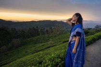 Vue latérale de la femme en sari bleu regardant au coucher du soleil pittoresque tout en se tenant sur les champs de thé à Haputale au Sri Lanka — Photo de stock