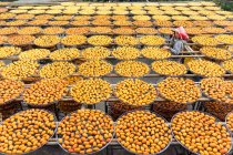 From above of Asian woman in hat smiling while exploring factory with orange drying in sun persimmon during travel at Taiwan — Stock Photo