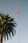 D'en bas du drapeau des États-Unis et palmier contre ciel bleu clair à Venise plage par une journée ensoleillée — Photo de stock