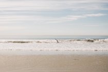 Pequenas ondas na praia de areia contra o céu nublado e aves voadoras na Califórnia no dia ensolarado — Fotografia de Stock