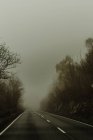 Leere gerade Straße mit Nebel im Wald umgeben von Bäumen neblige Autobahn am bewölkten Tag — Stockfoto