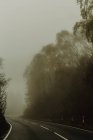 Estrada reta vazia com névoa na floresta cercada por árvores rodovia nebulosa no dia nublado — Fotografia de Stock