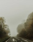 Empty straight road with mist in forest surrounded by trees foggy highway on cloudy daytime — Stock Photo