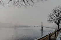Les gens marchent à travers la rivière sur un pont moderne avec de la brume pendant la journée nuageuse — Photo de stock