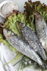Зверху приготована смачна скумбрія подається на листках салату з шматочками морської солі на тарілці на білому фоні — стокове фото