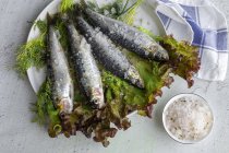 Сверху приготовленная соленая скумбрия подается на листьях салата с кусочками морской соли на тарелке на белом фоне — стоковое фото