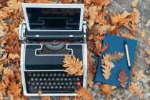 Máquina de escribir antigua de arriba con tableta en hojas de otoño y cuaderno azul con pluma sobre tabla de piedra en bosque de roble - foto de stock