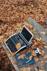 De cima vintage máquina de escrever velha com tablet em folhas de outono e caderno azul com caneta e câmera retro na mesa de pedra na floresta de carvalho — Fotografia de Stock