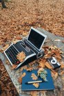 Máquina de escribir antigua de arriba con tableta en hojas de otoño y cuaderno azul con pluma y cámara retro sobre mesa de piedra en bosque de roble - foto de stock
