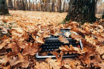 Vista de alto ângulo da máquina de escrever vintage no chão coberto com folhas de carvalho no outono — Fotografia de Stock