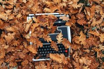 Hochwinkelaufnahme einer alten Schreibmaschine auf dem mit Eichenblättern bedeckten Boden im Herbst — Stockfoto