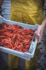 Trabalhador sem rosto com camarões vermelhos na banca do mercado — Fotografia de Stock