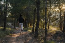 Обратный вид человека в спортивном костюме, работающего над мускулами ног, бегущими в лесу в солнечный день — стоковое фото