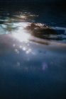 Vista laterale del viso sopra la superficie dell'acqua di riposo donna tranquilla con gli occhi chiusi in piscina nella soleggiata giornata estiva — Foto stock