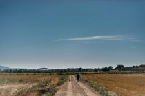 Vue arrière de l'homme courant sur la route vide avec chien parmi les champs verts avec ciel bleu clair en arrière-plan à la campagne — Photo de stock