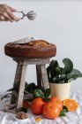 Cultivez une personne anonyme en versant de la poudre de sucre avec une passoire à thé ronde en métal au-dessus d'un gâteau appétissant frais sur des tabourets en bois entourés de mandarine mûre orange et de plantes vertes en pot — Photo de stock